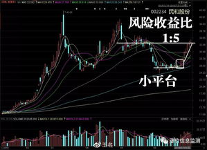 股民购买股票的目的就是盈利(股民购买股票的目的就是盈利还是亏损)