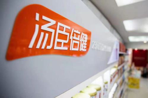 入股10万一年赚分红多少(入股10万一年分多少钱)