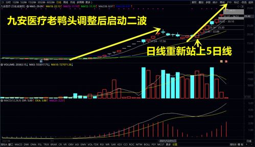 股票的本质和特征(十个炒股九个亏的原因)