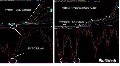 盘子小业绩好的股票有哪些(什么是盘子小的股票)