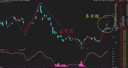 公司的股票是怎么形成的(公司股票是根据什么涨跌的)