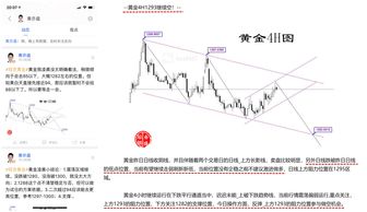 合作占比分成(合作占比分成物流)
