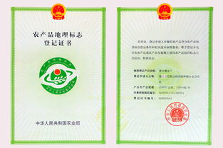 产品上市需要取得注册证(产品上市需要哪些资质)