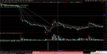 一只股票还是一支股票(一只股票就是一家公司吗)