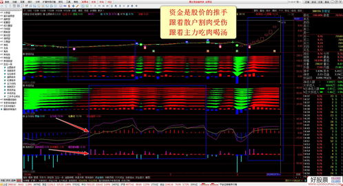量化波段王指标下载(量化波段王下载)