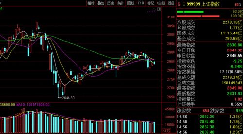 股票a股什么意思(股票A股什么意思)