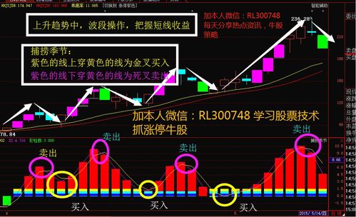 大单买入股价为何下跌(为什么大单在买股票却跌)