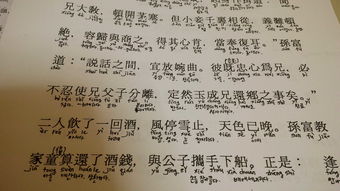 nsbscny是什么意思(nssb是啥意思啊)