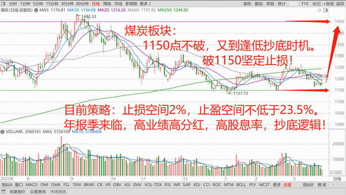 炒股最重要的是耐心(炒股最重要的是耐心还是耐心)