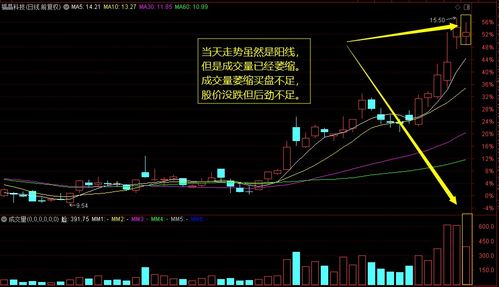 股票是越大额越容易买入吗(股票是越大额越容易买入吗知乎)