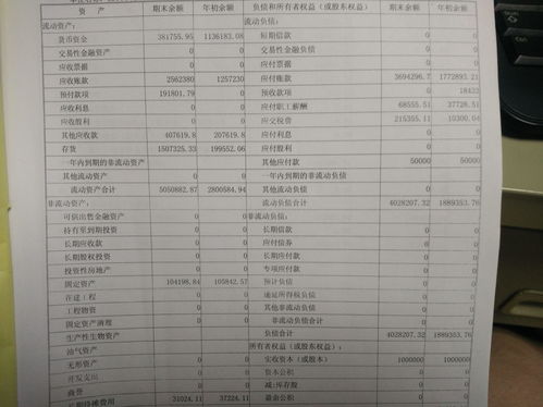 资产负债表中对总额的影响怎么算(负债总额对资产总额比率)
