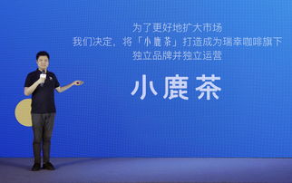 销售合伙人模式(什么叫销售合伙人模式)