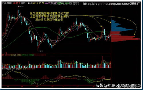 融资一直买入的股票后期走势(融资买入的股票可以持有多久)