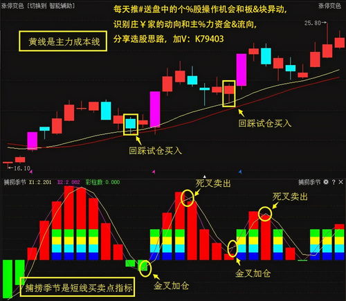 中国第一个股票交易市场(中国第一家股票交易所是在哪里?)