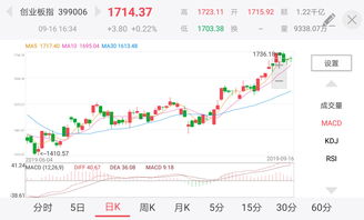 参考总盈亏是什么意思(参考总盈亏193%是多少)
