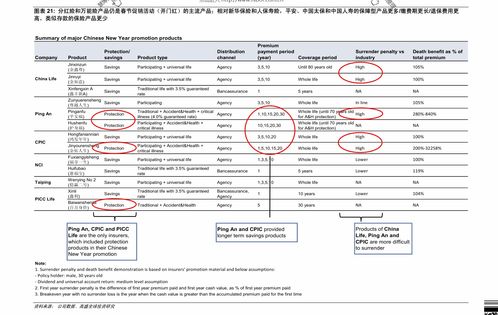 b股有哪些优质股(b股中的优质股有哪些)