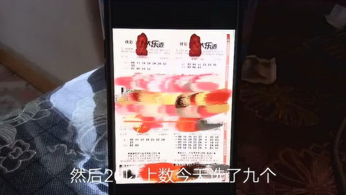 大乐透怎么在线购买(大乐透怎么在线购买的)