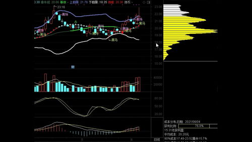 新手入门股票详细图解(适合新手的股票入门书)