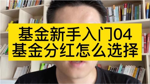 基金怎么玩新手入门(基金怎么玩新手入门怎么看走势图)