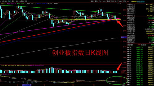 股票亏20个点怎么补仓(股票亏损20个点)