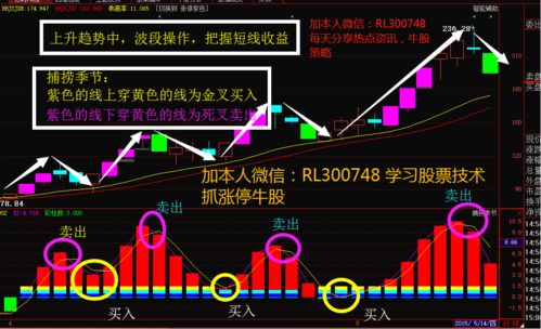 一年中炒股的规律(一年炒股能翻25倍)