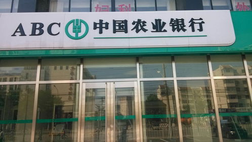 农业银行每股分红(农业银行每股分红多少钱)