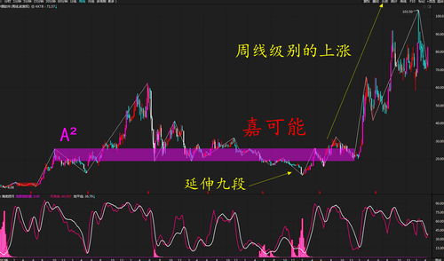 2023中国股市会涨吗(2023中国股市会涨吗现在)