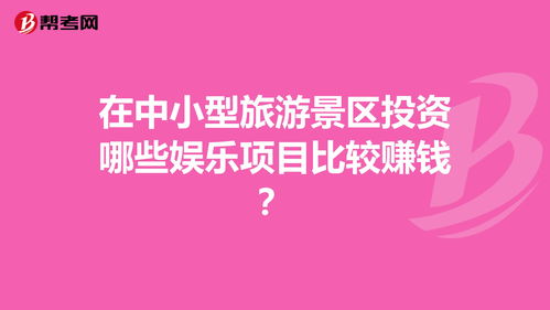 投什么项目可以挣钱(做啥投资项目最挣钱)