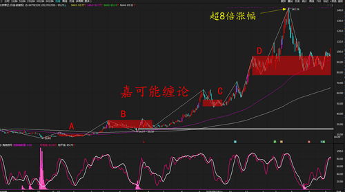 2008到2010十大牛股(2008年牛股排行榜)