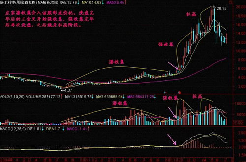 有没有炒股发财的人(炒股发财的人有吗)