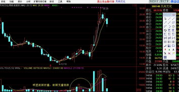 牛股启动前的巨阴洗盘(放量大阴线洗盘的经典图形)