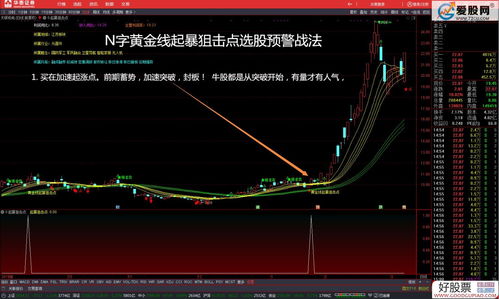 n股是指(n股是什么股票)