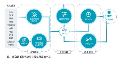 生活必需品上市龙头企业(生活必需品类股票)