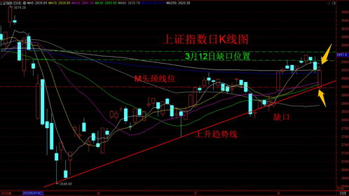 投资股票获得的收入属于(股票投资的收入来源主要包括)