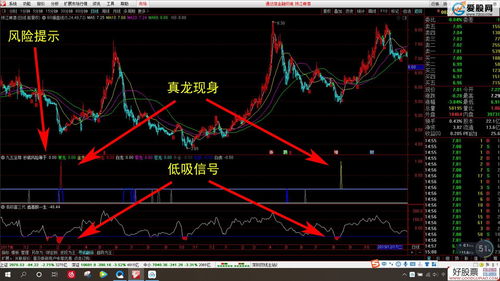 双紫擒龙四合一副图指标(通达信机构主力专用指标)