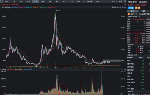 定增后股价翻倍的股票(定增后股价暴涨)
