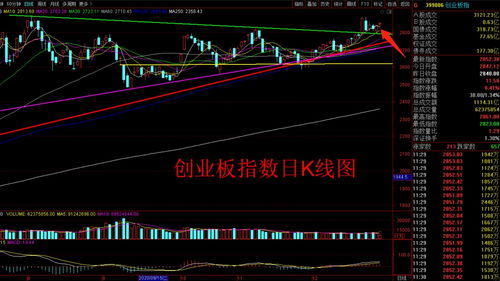 股市中的大消费是指什么(股票大消费板块都有什么)