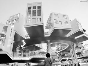 上海世基靠谱不(上海世基创业百科)