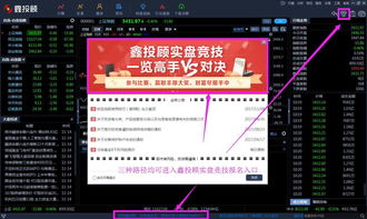 自己炒股和投顾的区别(炒股是投机还是投资)