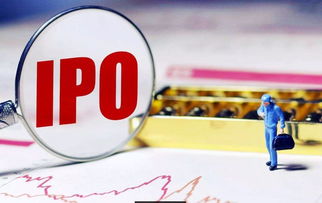 证监会今天最新ipo(证监会今天最新ipo名单)