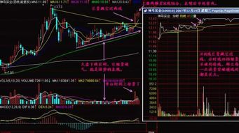 如何看一支股票要上涨了(怎么看一支股票涨跌)