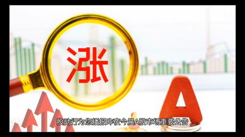 什么是a股上市公司(啥是a股上市公司)