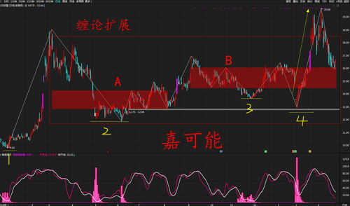 股票t字型k线图解(股票k线图t字形)