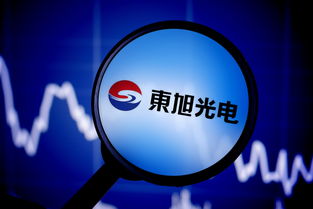 如何成立公司炒股公司(怎么开一家炒股的公司)