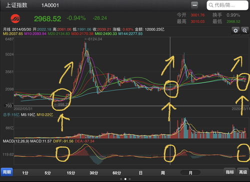 中国最牛的股票是哪一个(中国史上最牛股)