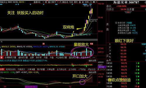 哪支股票最稳定赚钱(哪只股票最赚钱)