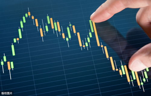 以每股30元的价格买入一只股票(以每股30元的价格买入一只股票可以卖吗)