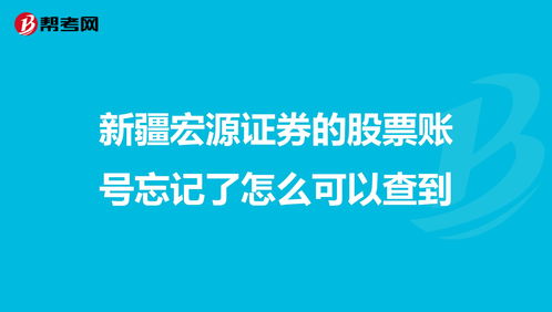 怎么查自己的证券客户号(怎么查询证券客户号)