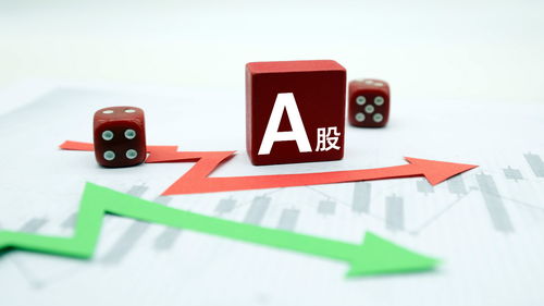 2019年证监会最新ipo(证监会最新ipo公告)