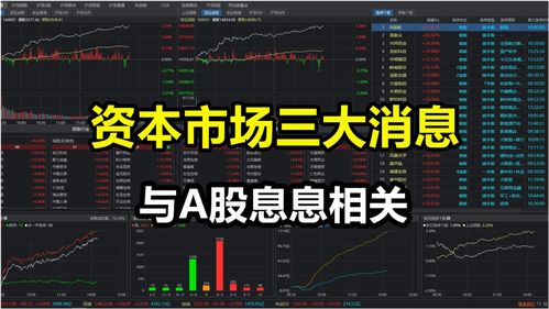三大资本市场是哪三大(资本市场三大支柱)
